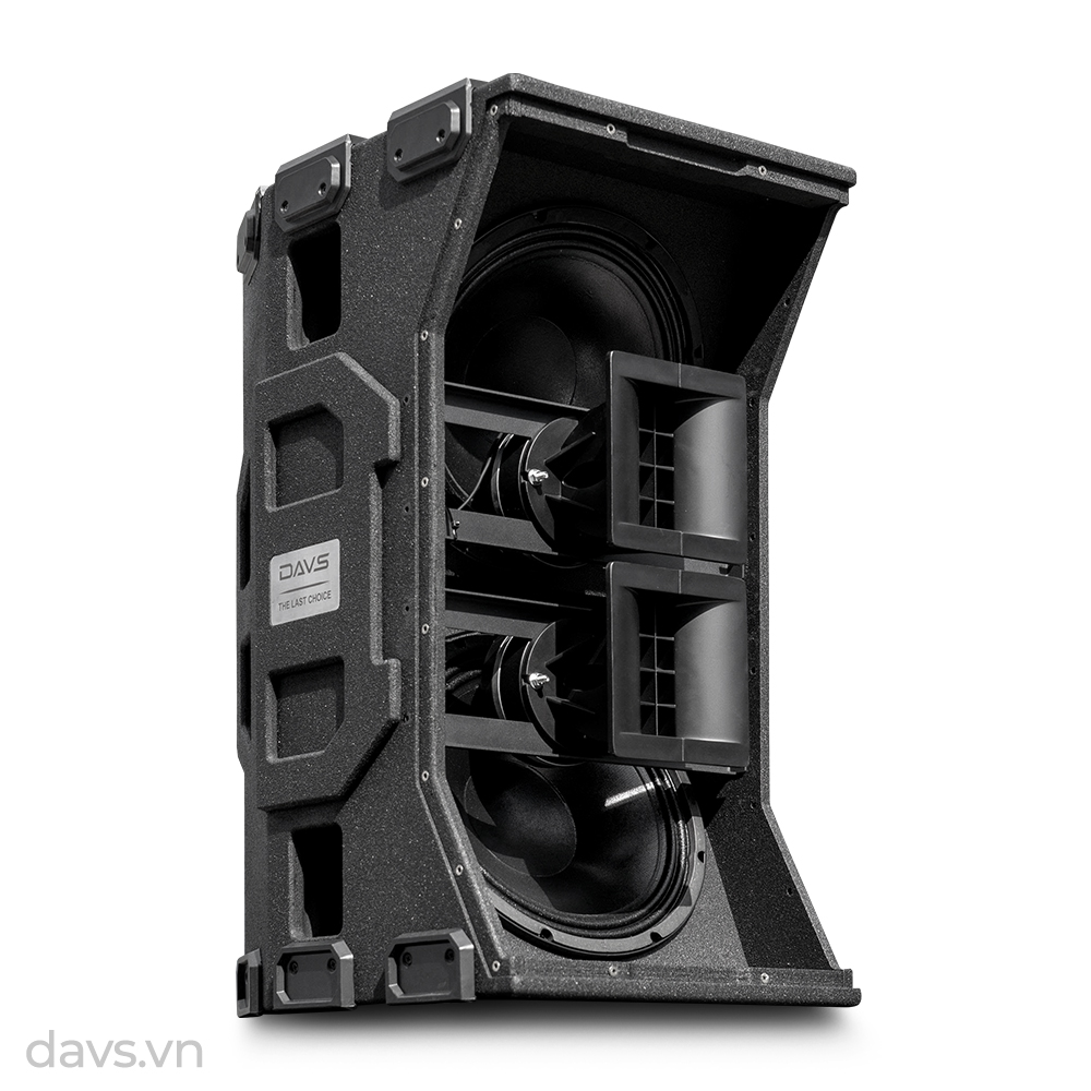 Loa-DAVS-TL25N-b