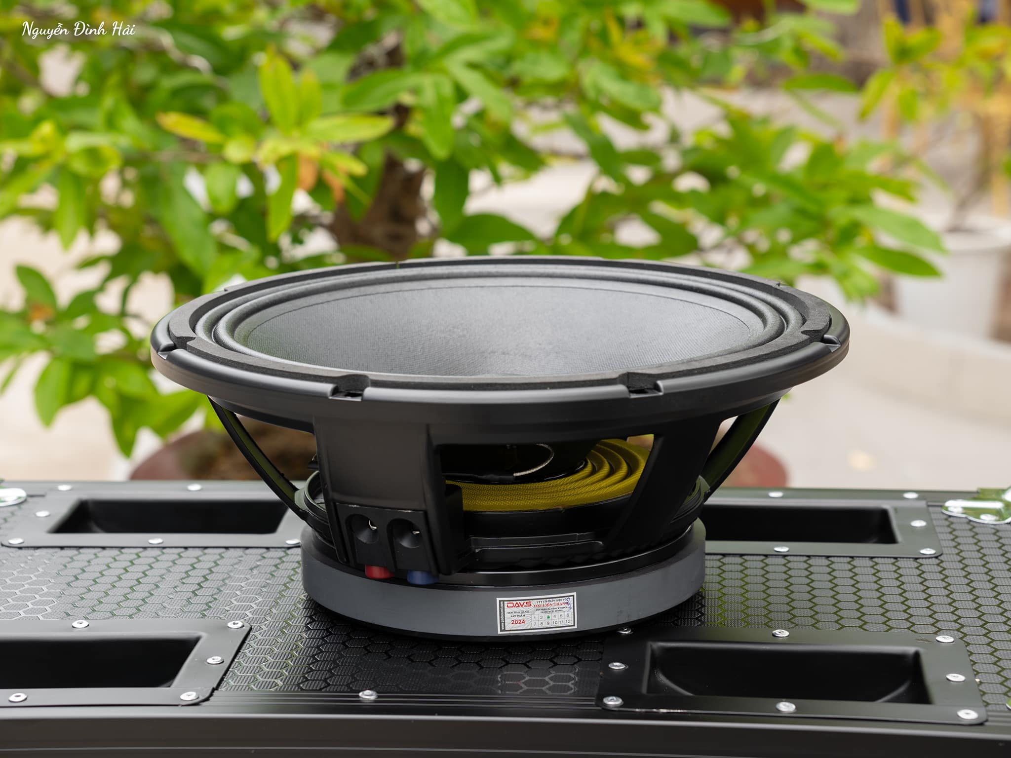 Bass loa DAVS TL25F