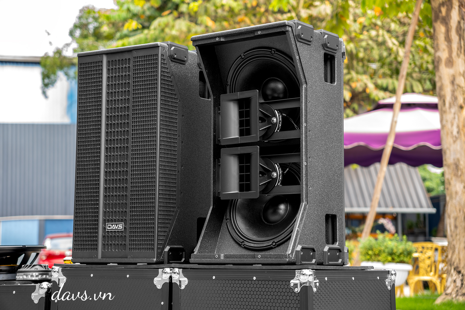 Loa DAVS TL25F